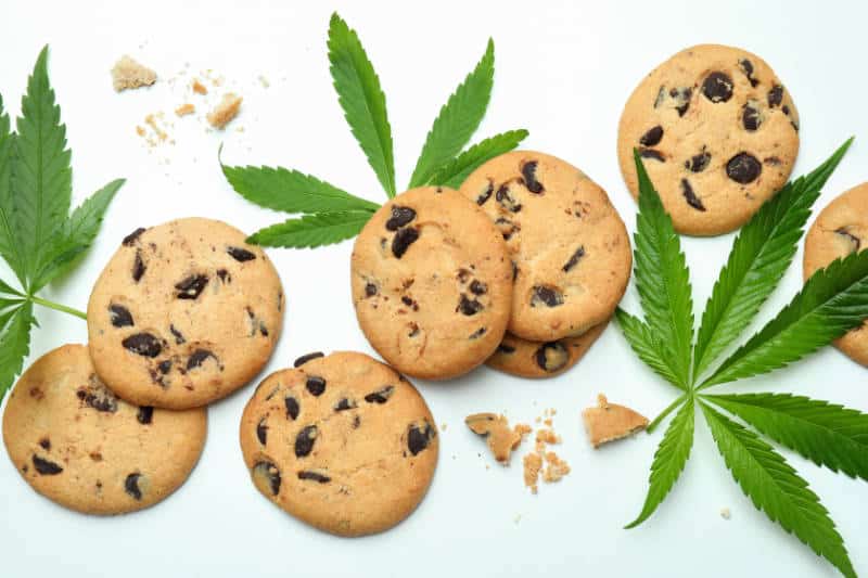 Cannabis & Cooking: Recipes Infused with Marijuana