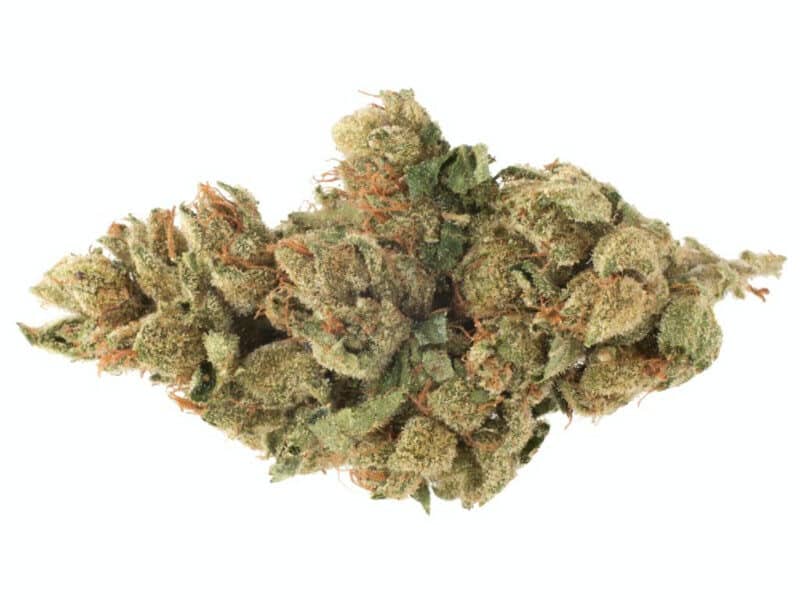 The Characteristics of the Cannabis Strain “Alien Asshat”