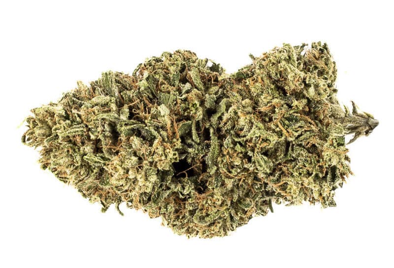 Clementine Kush Strain: A Cannabis Experience in Oklahoma