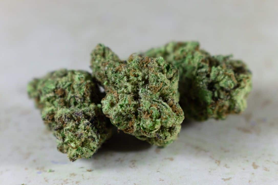 Nerds Cannabis Strain – A Tasty and Potent Hybrid