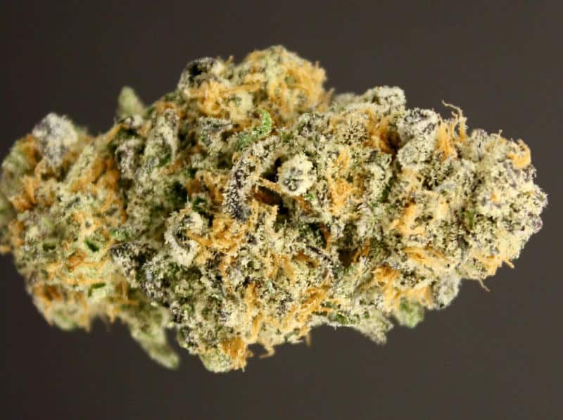 Apricot Mac Cannabis Strain: Lineage and Terpenes Unveiled