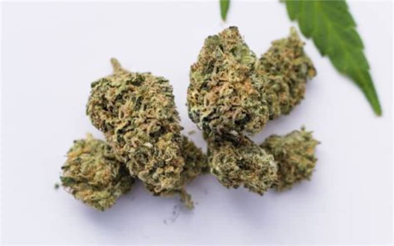 Axilla Cannabis Strain: Delving into Lineage and Terpenes